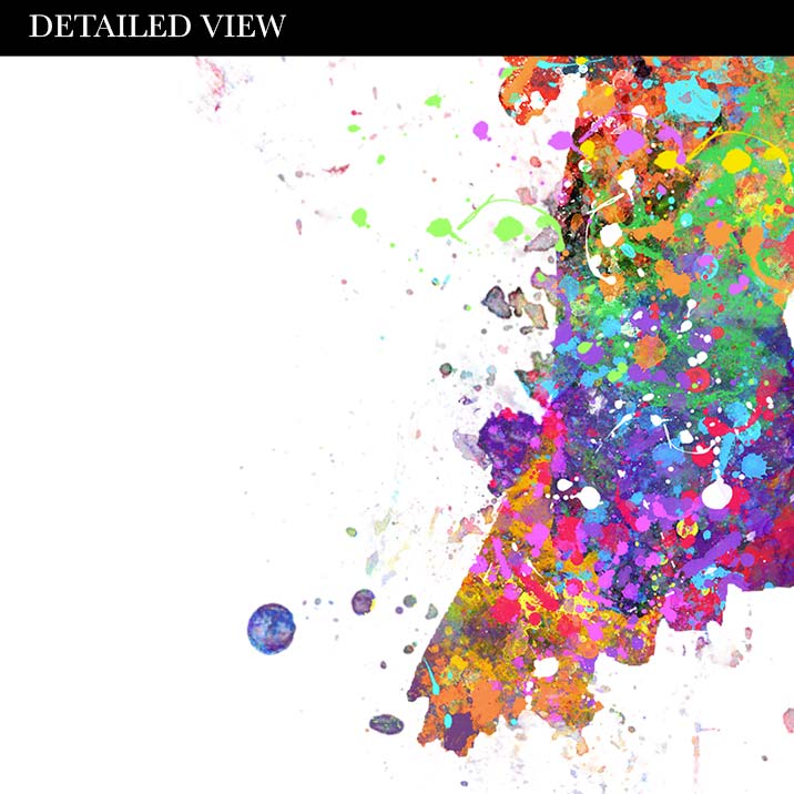 Goldfinch Bird Watercolour Print