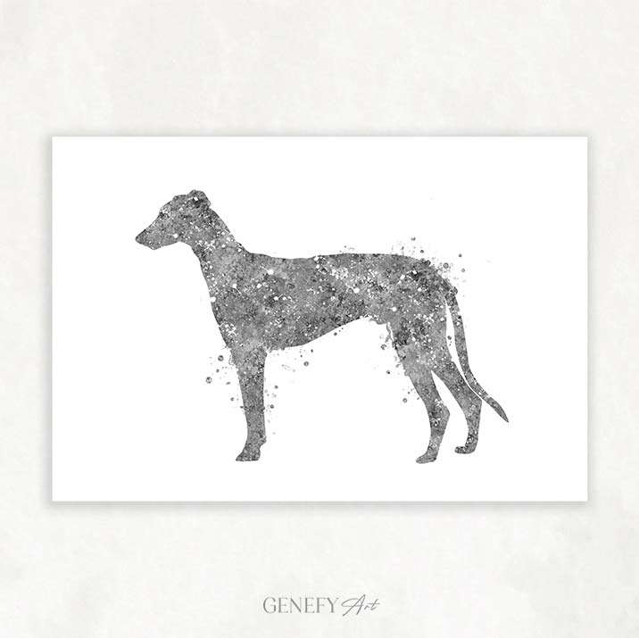 Greyhound Watercolour Print