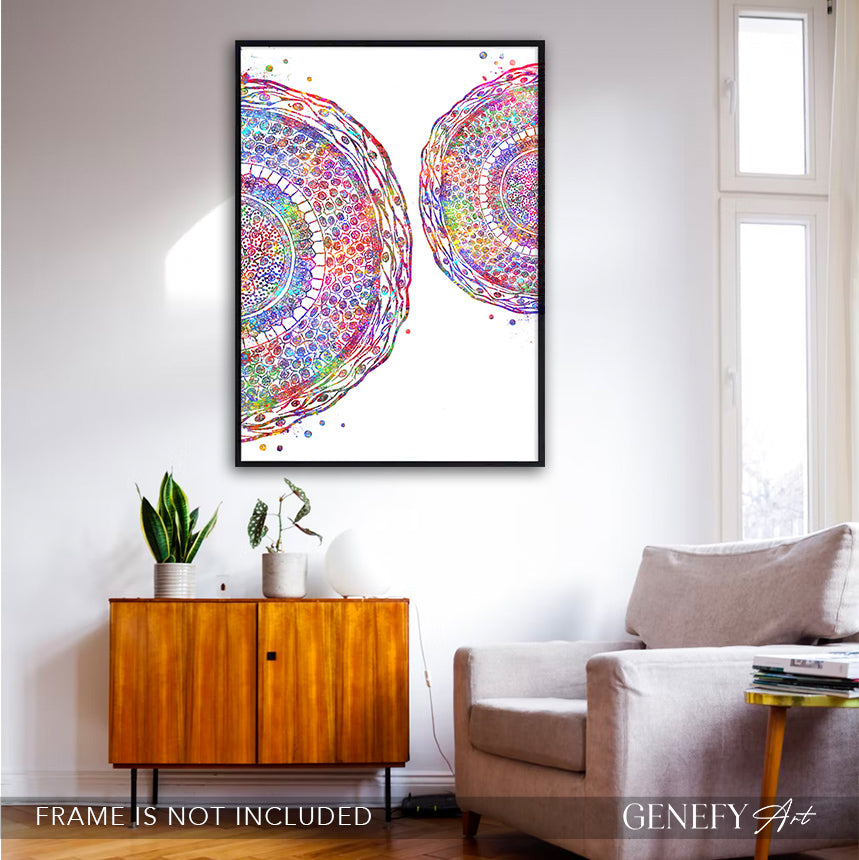 Human Hair Cross Section Watercolour Art Print