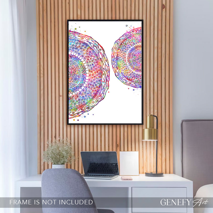 Human Hair Cross Section Watercolour Art Print