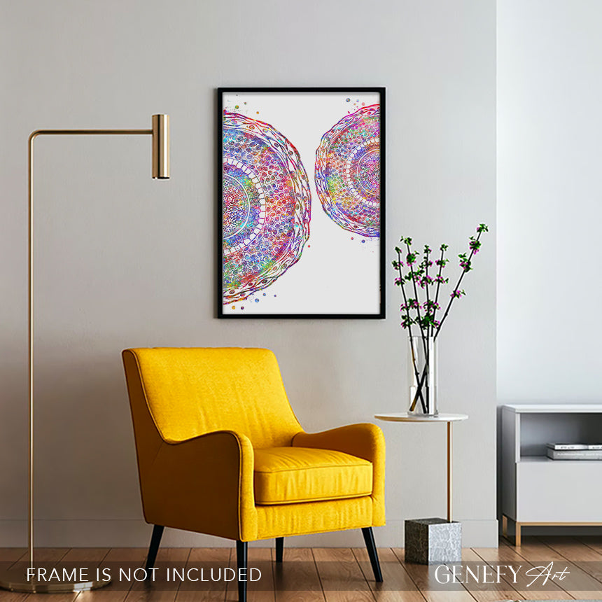 Human Hair Cross Section Watercolour Art Print