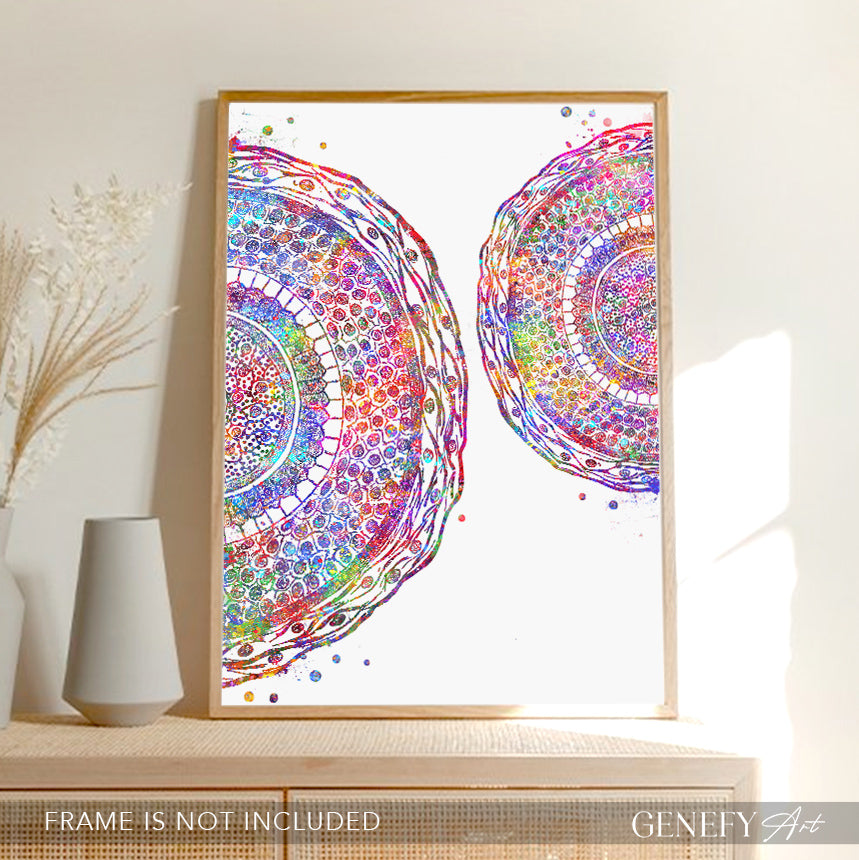 Human Hair Cross Section Watercolour Art Print