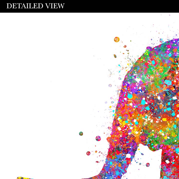 Kangaroo Couple Watercolour Print