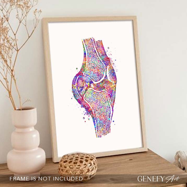 Knee Joint Cross section Watercolour Print