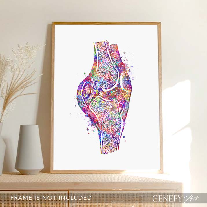Knee Joint Cross section Watercolour Print