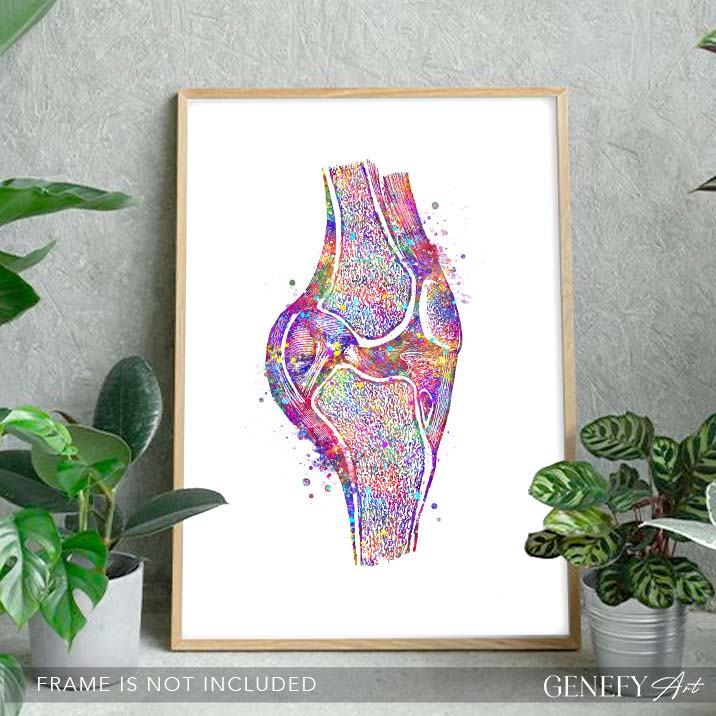 Knee Joint Cross section Watercolour Print