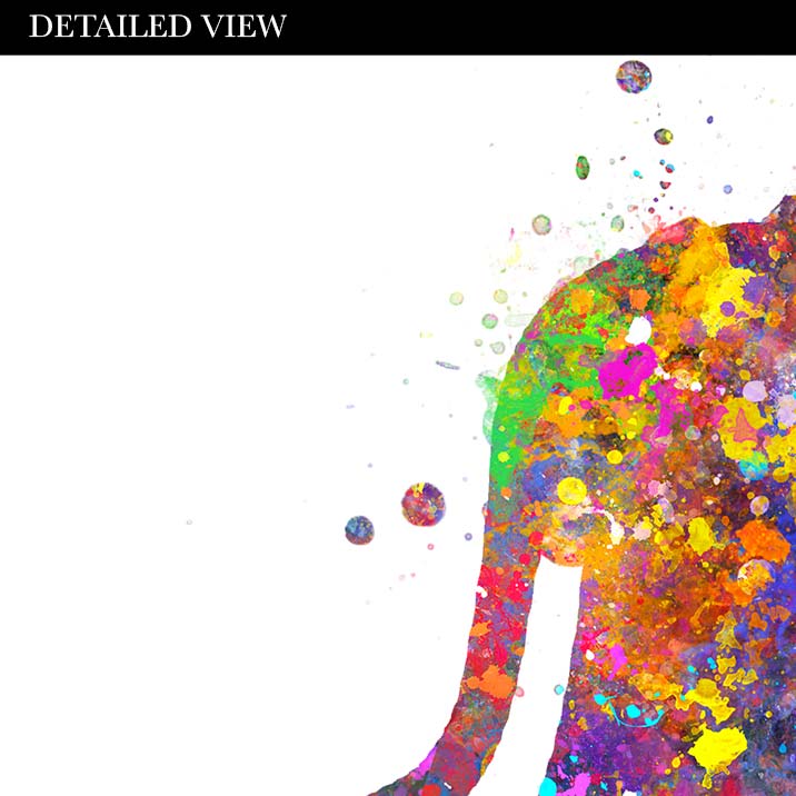 Lioness and Cubs Watercolour Wall Art