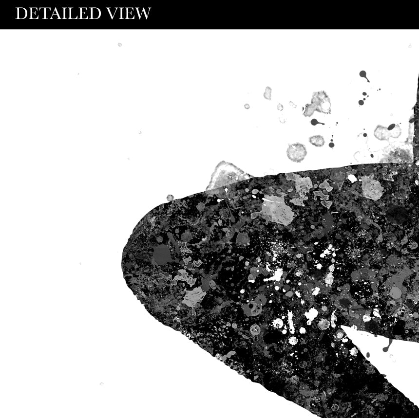 Male Dancer Black and White Art