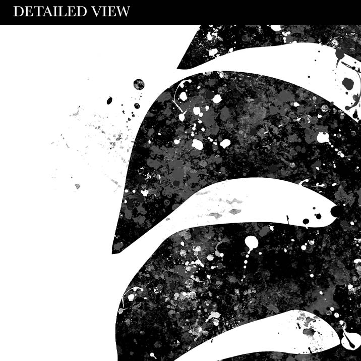 Monstera Leaf Black and White Watercolour Print