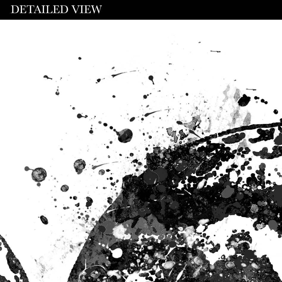 Moon Phases Black and White Art Print