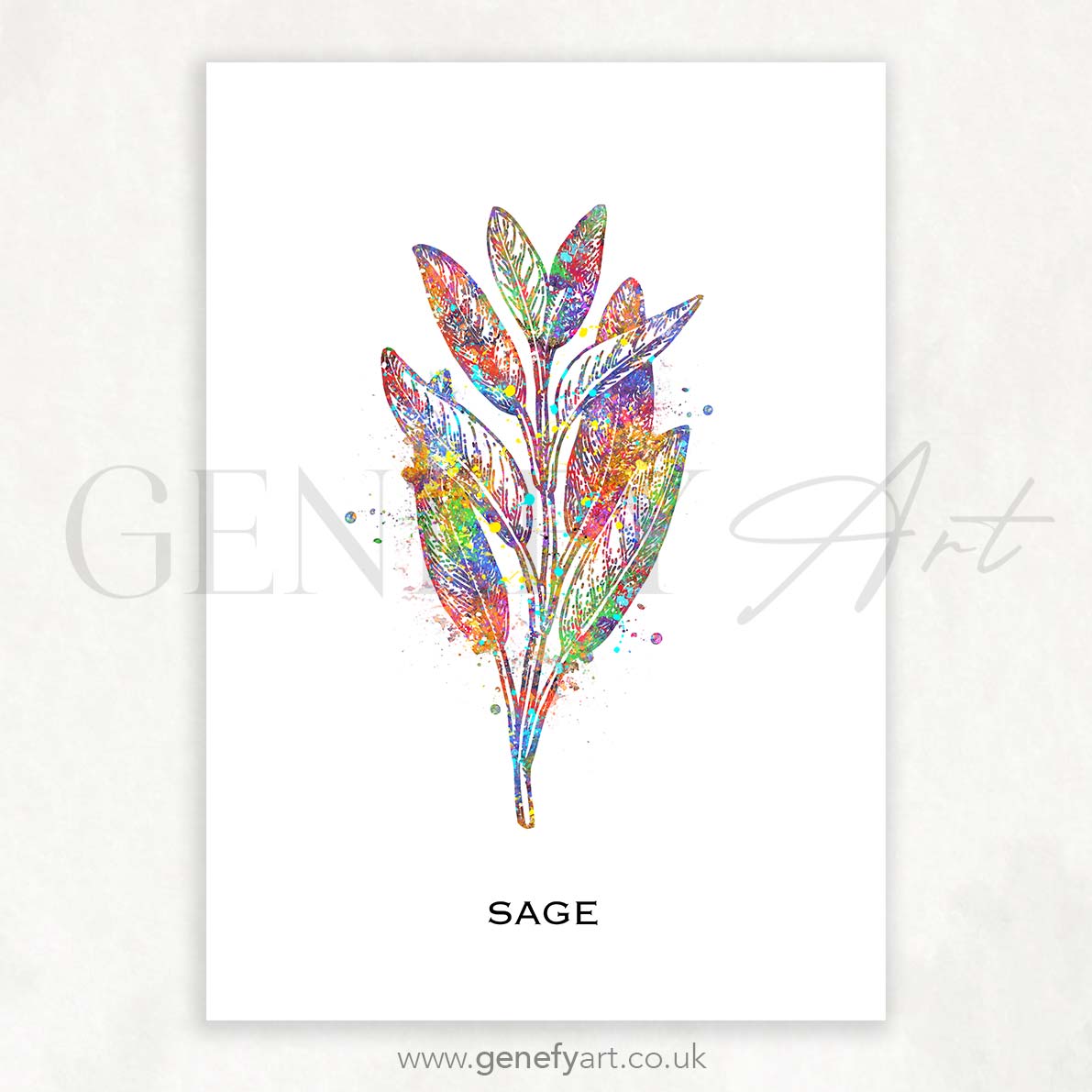 Sage Herb Watercolour Print - Genefy Art
