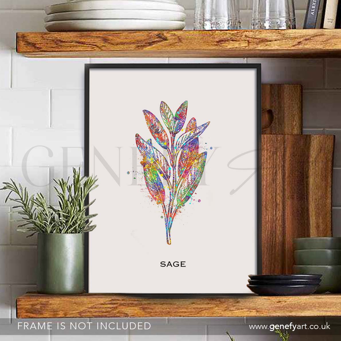 Sage Herb Watercolour Print - Genefy Art