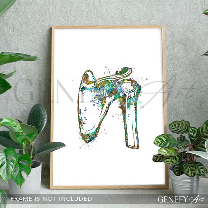 Shoulder Bone Anatomy Watercolour Print