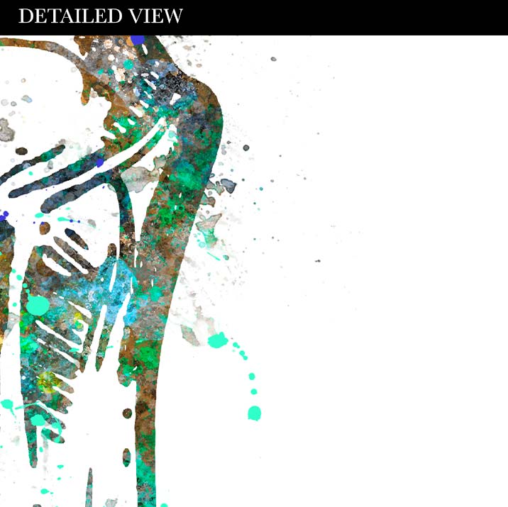 Shoulder Bone Anatomy Watercolour Print