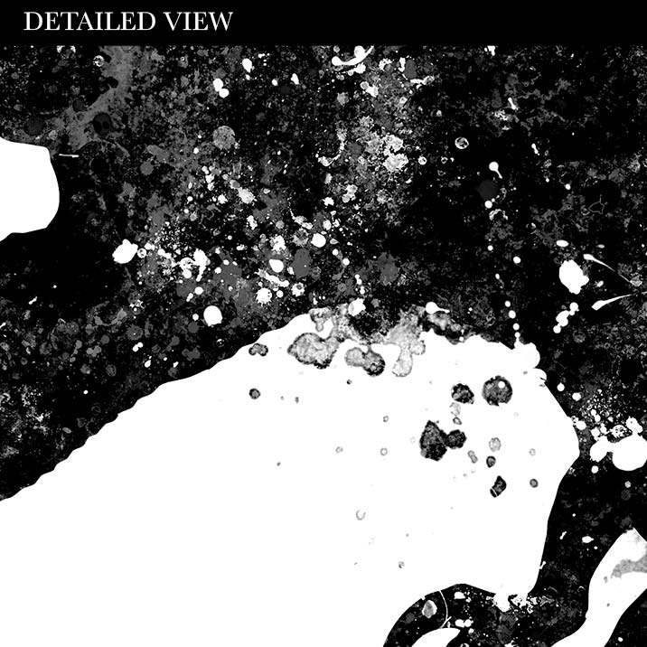 Dinosaur T-Rex Black and White Watercolour Print