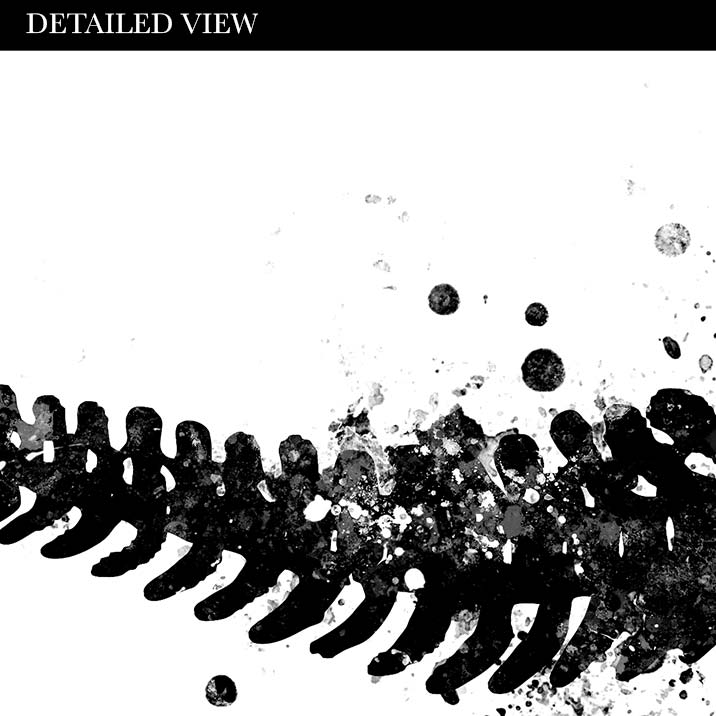 Dinosaur T-Rex Skeleton Black and White Watercolour Print