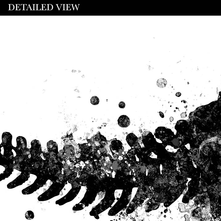 Dinosaur T-Rex and Boy Black and White Watercolour Print