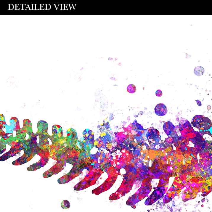 Dinosaur Tyrannosaurus T-Rex Skeleton Watercolour Print