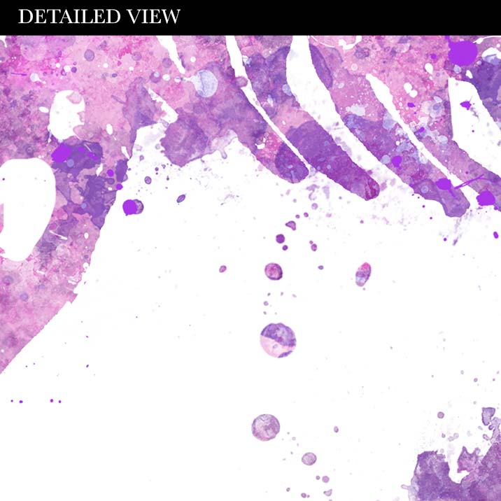 Dinosaur T-Rex and Girl Watercolour Print