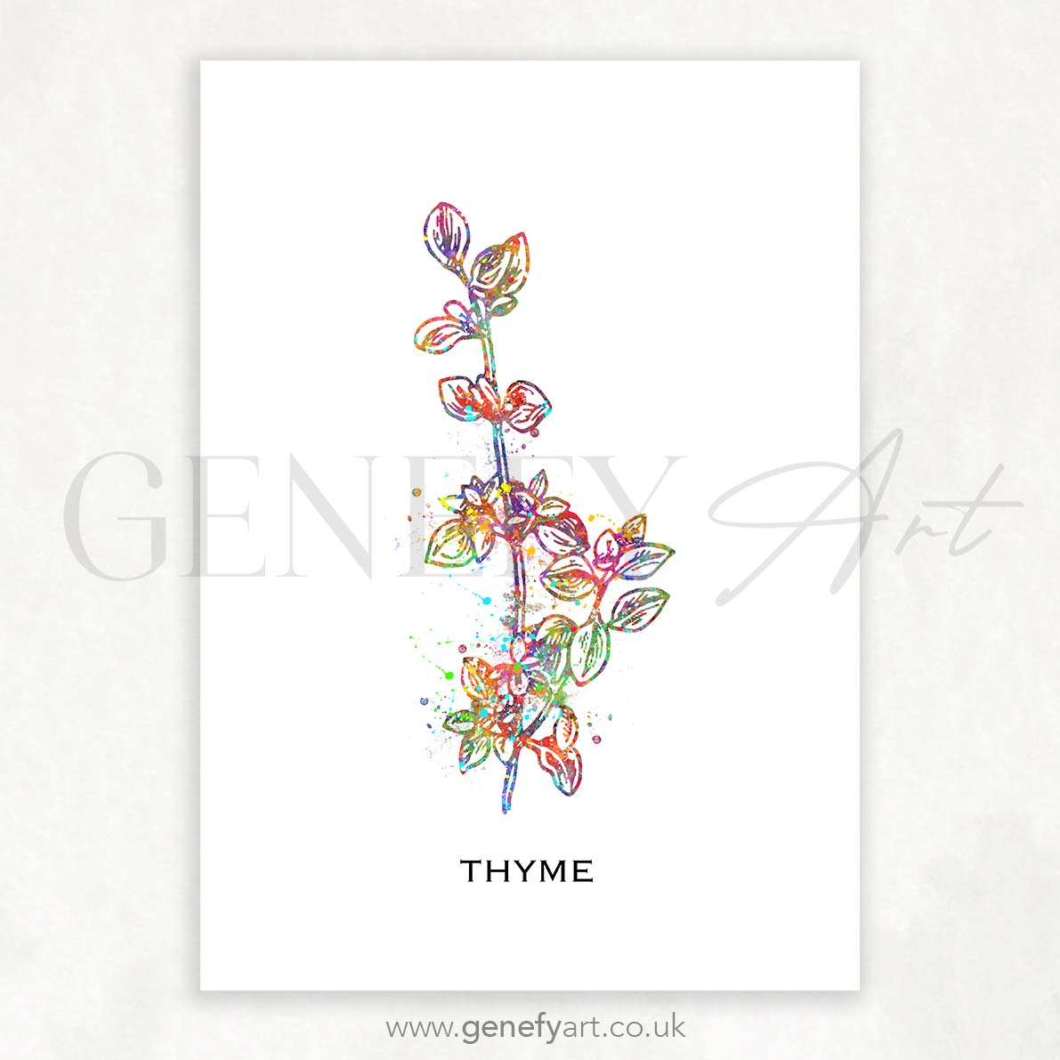Thyme Herb Watercolour Print - Genefy Art