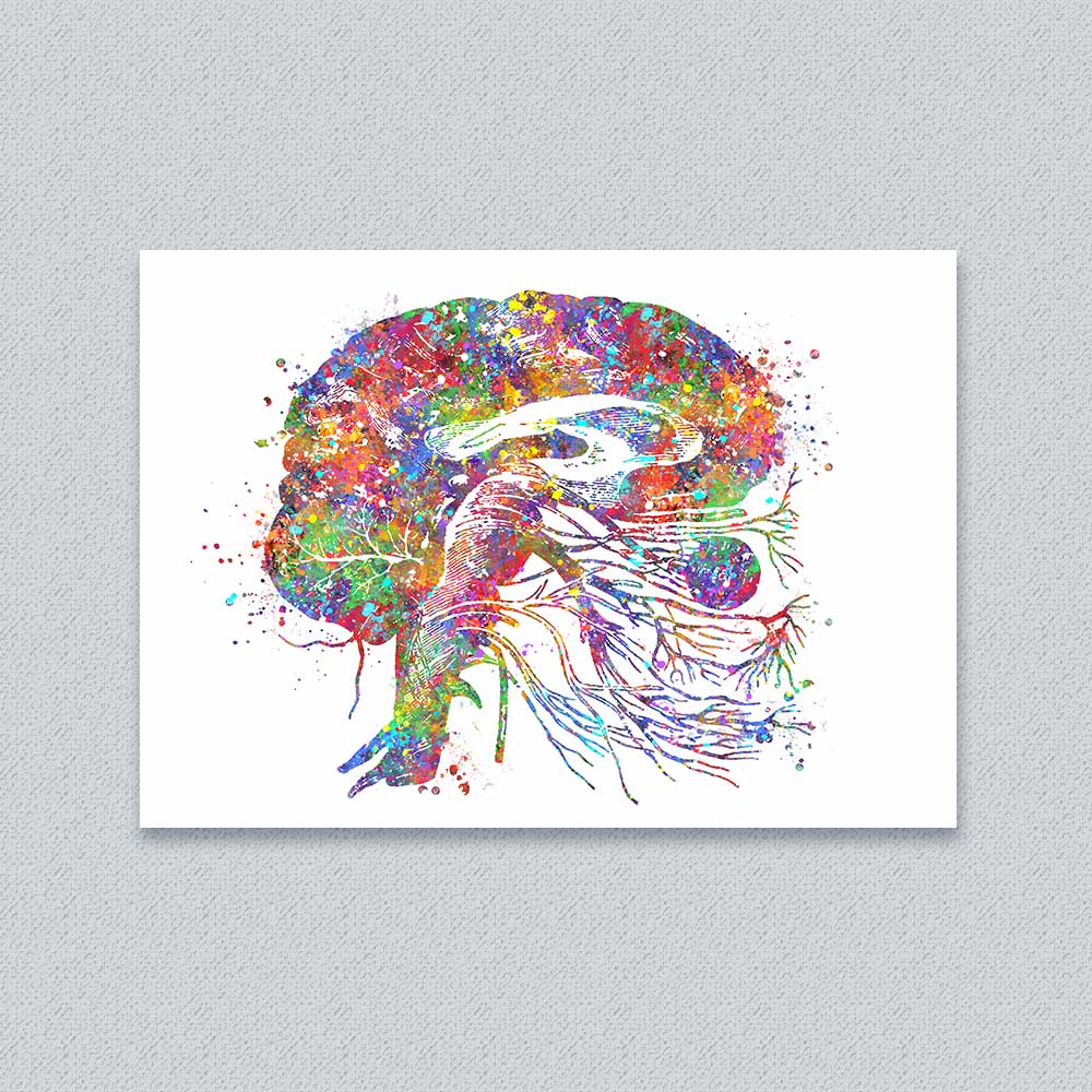 Brain Cranial Nerves Watercolour Print