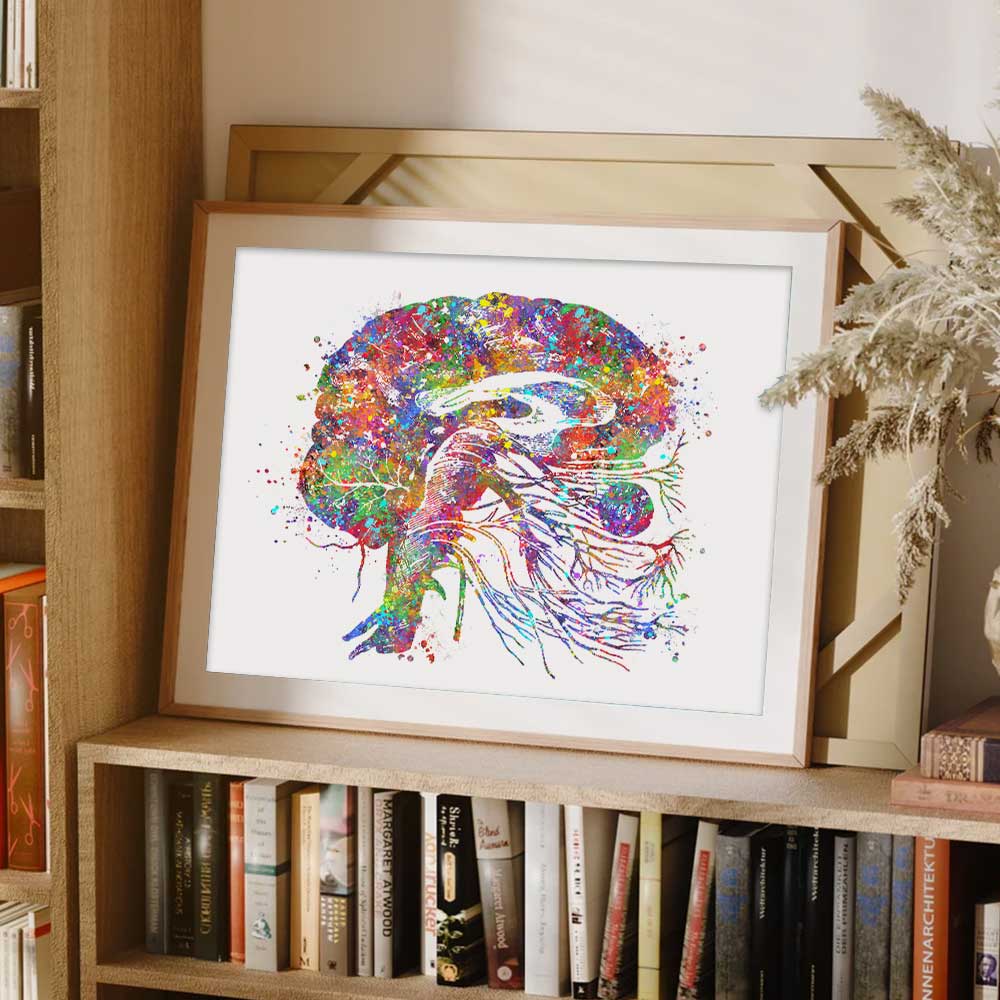 Brain Cranial Nerves Watercolour Print