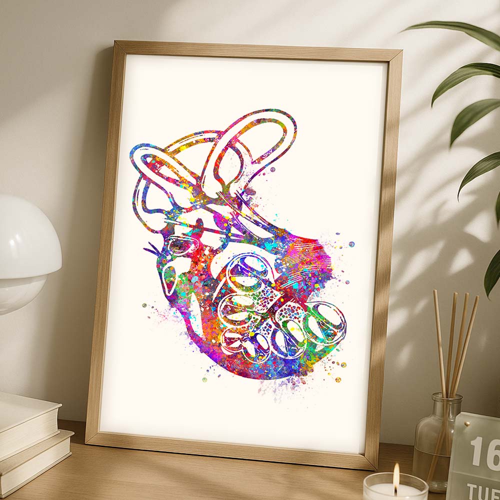 Cochlea Anatomy Art Print – Inner Ear Wall Decor for Audiologists
