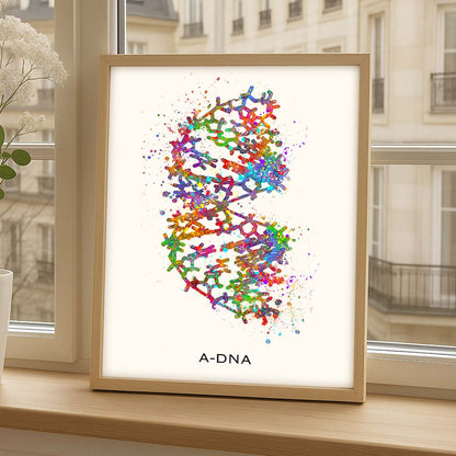 A-DNA Structure Art Print – Molecular Biology Wall Decor