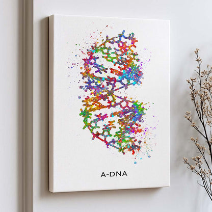 A-DNA Structure Art Print – Molecular Biology Wall Decor