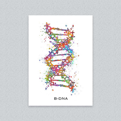 B-DNA Structure Art Print – Molecular Biology Wall Decor