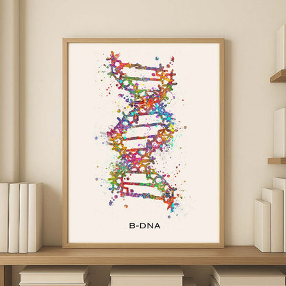 B-DNA Structure Art Print – Molecular Biology Wall Decor