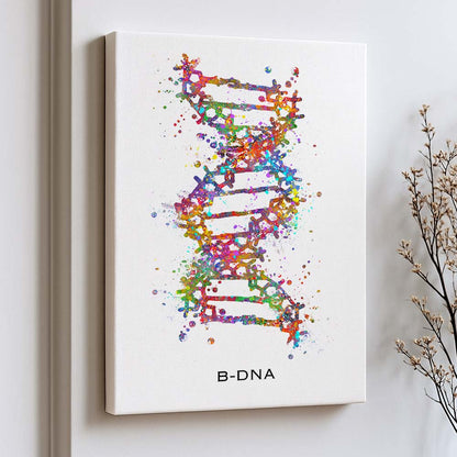 B-DNA Structure Art Print – Molecular Biology Wall Decor