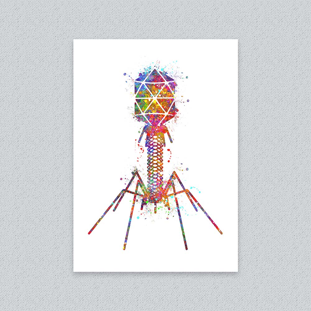 Bacteriophage Watercolour Art Print – Colourful Virus Wall Decor