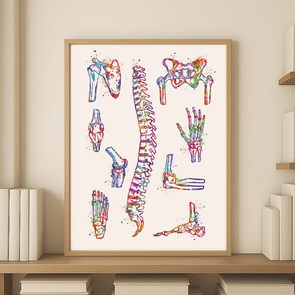 Bone Anatomy Watercolour Art Print – Skeletal System Wall Decor