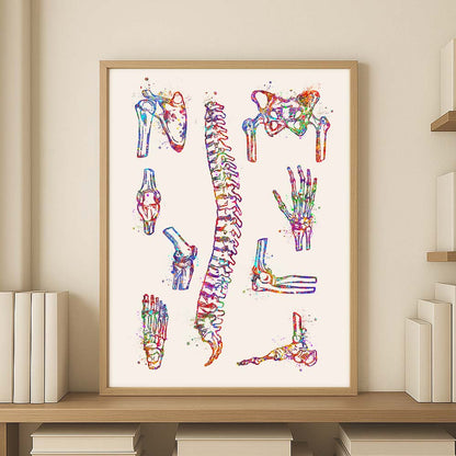 Bone Anatomy Watercolour Art Print – Skeletal System Wall Decor