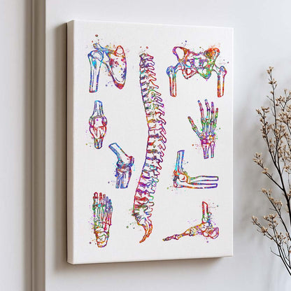 Bone Anatomy Watercolour Art Print – Skeletal System Wall Decor