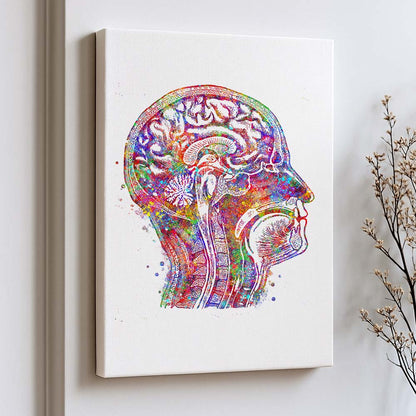 Brain Cross-Section Art Print – Head Anatomy Wall Decor