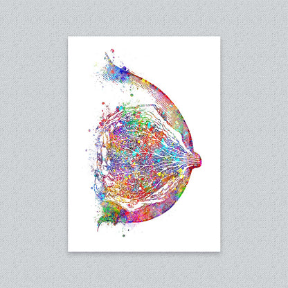 Breast Anatomy Art Print – Colorful Medical Illustration