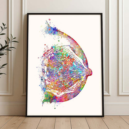 Breast Anatomy Art Print – Colorful Medical Illustration