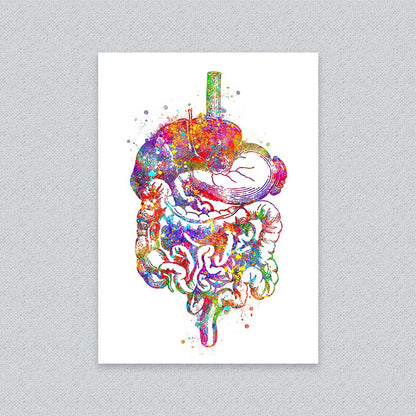 Digestive System Art Print – Colorful Anatomy Wall Decor