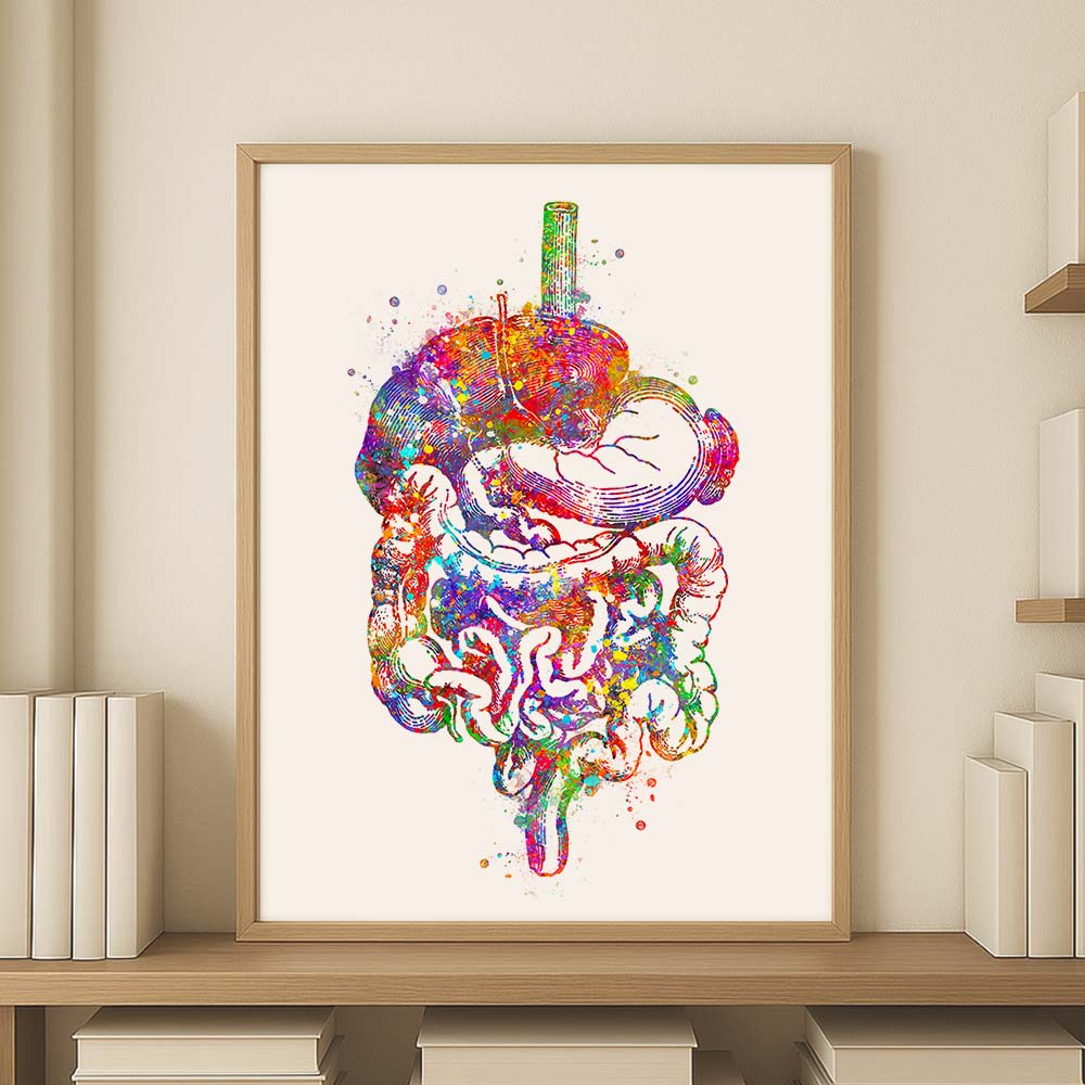 Digestive System Art Print – Colorful Anatomy Wall Decor