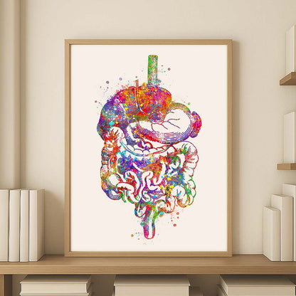 Digestive System Art Print – Colorful Anatomy Wall Decor