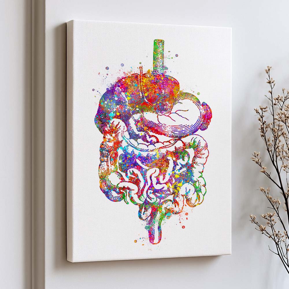 Digestive System Art Print – Colorful Anatomy Poster – Genefy Art