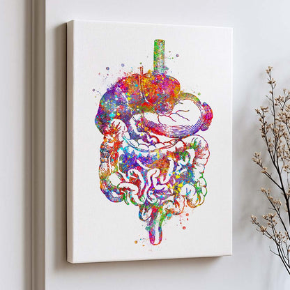 Digestive System Art Print – Colorful Anatomy Wall Decor