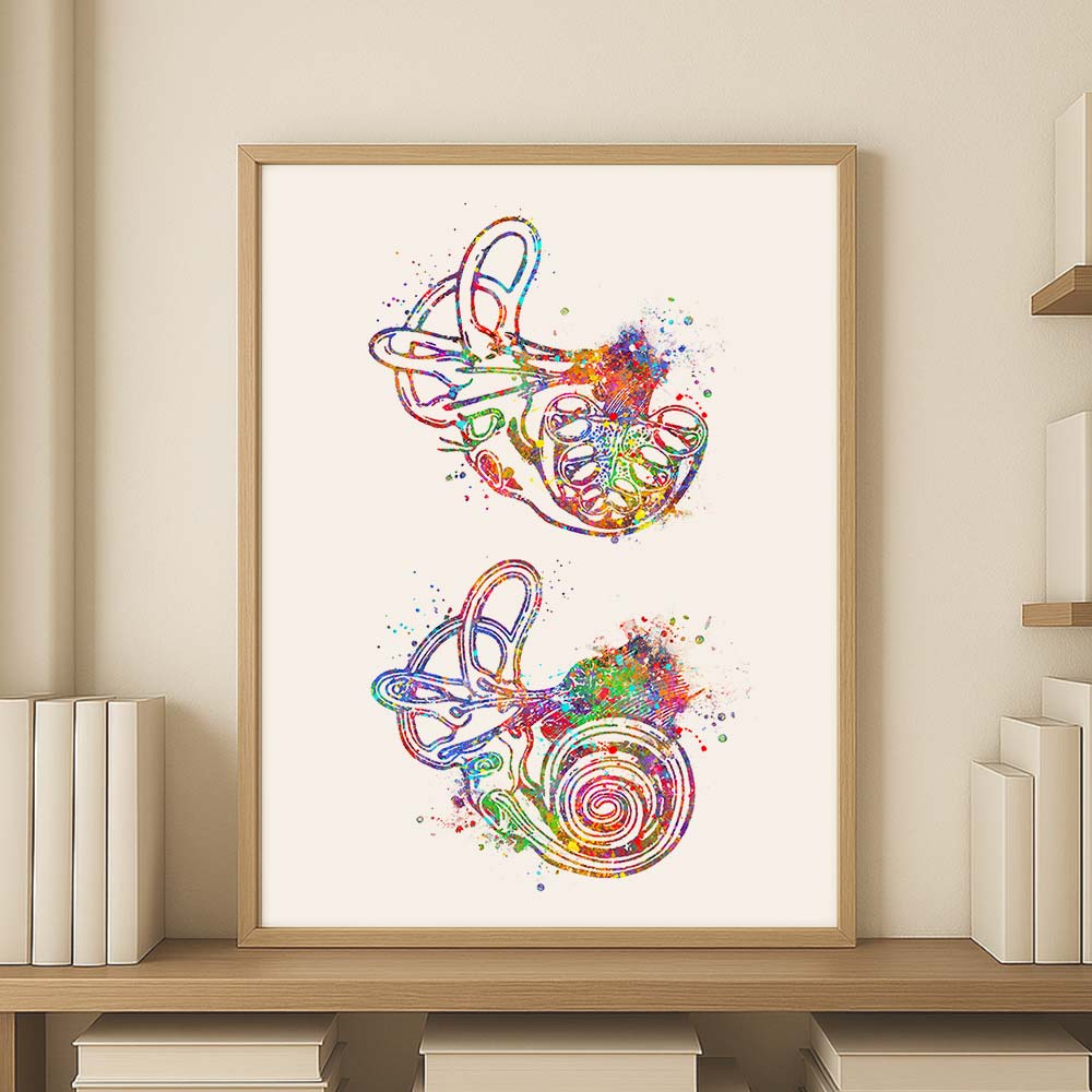 Inner Ear Anatomy Art Print – Cochlea &amp; Labyrinth Wall Decor
