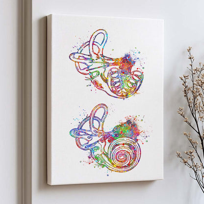 Inner Ear Anatomy Art Print – Cochlea &amp; Labyrinth Wall Decor