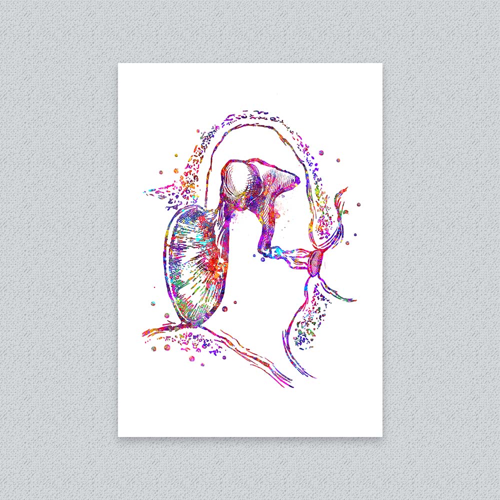 Middle Ear Anatomy Art Print – Modern Medical Wall Art
