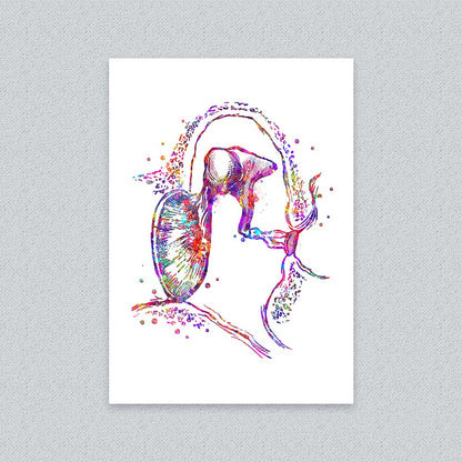 Middle Ear Anatomy Art Print – Modern Medical Wall Art