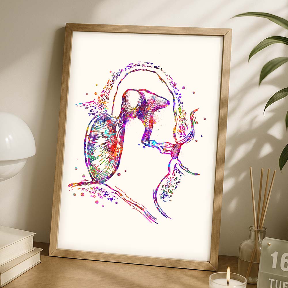 Middle Ear Anatomy Art Print – Modern Medical Wall Art