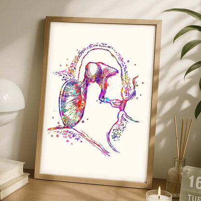 Middle Ear Anatomy Art Print – Modern Medical Wall Art